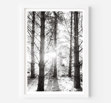 Framed in White