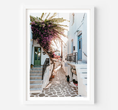Framed in White