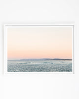 Framed in White