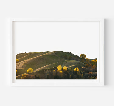 Framed in White