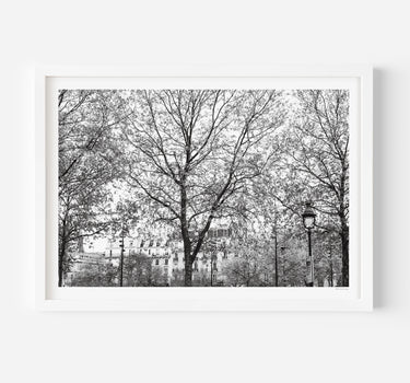 Framed in White