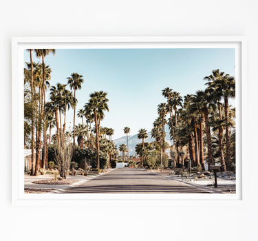 Framed in White