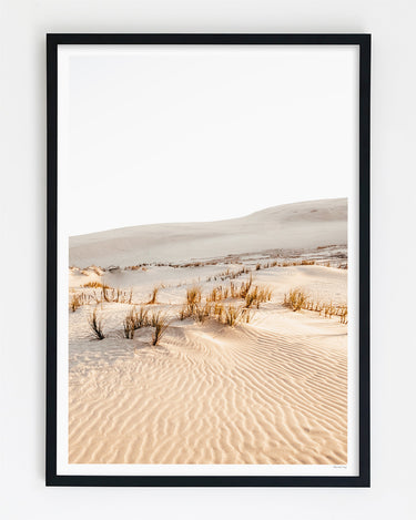 Framed in Black