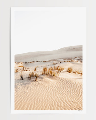 Print Only