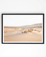 Framed in Black