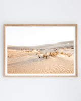 Framed in Oak