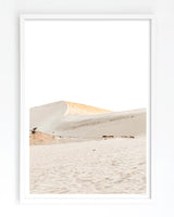 Framed in White