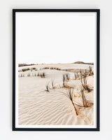 Framed in Blackl