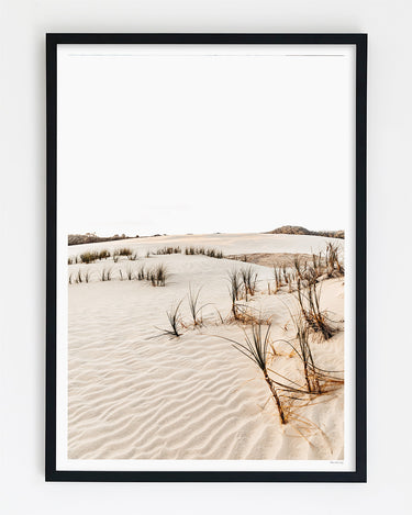 Framed in Blackl