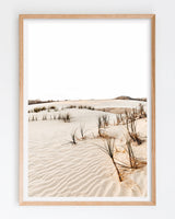 Framed in Oak
