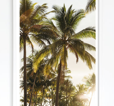 Framed in White