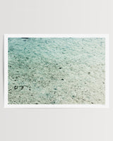 Print Only