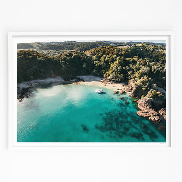 Whale Bay From Above