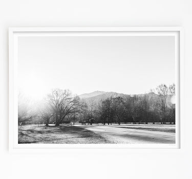 Winter Light