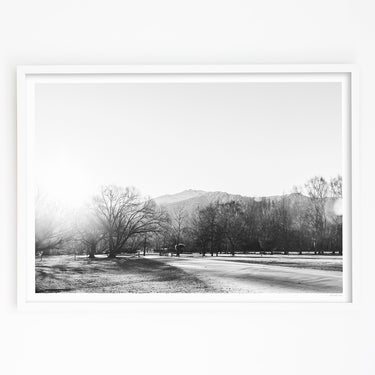 Winter Light