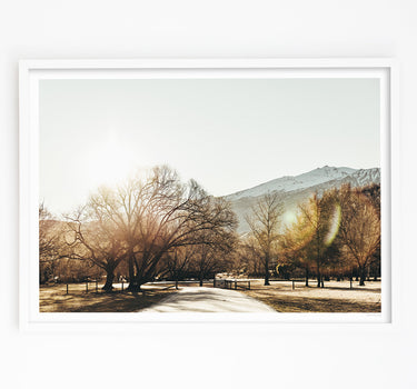 Framed in White