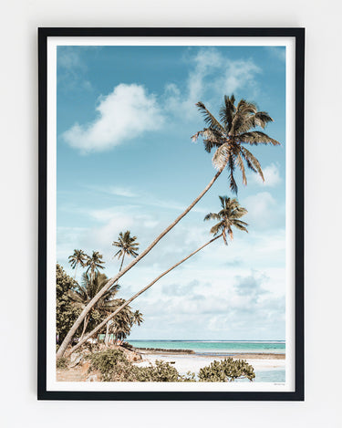 Framed in Black
