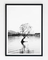 Framed in Black