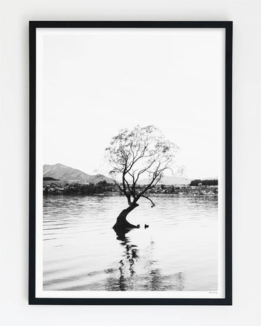 Framed in Black