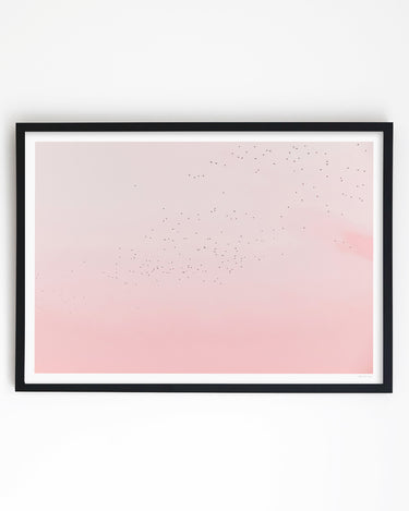 Framed in Black