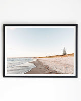 Framed in Black