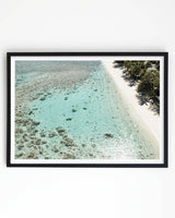 Framed in Black