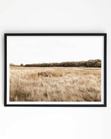 Framed in Black