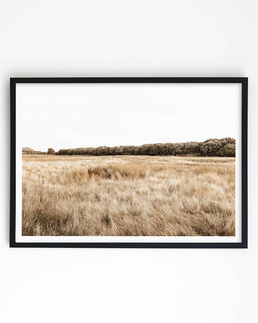 Framed in Black