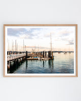 Framed in Oak