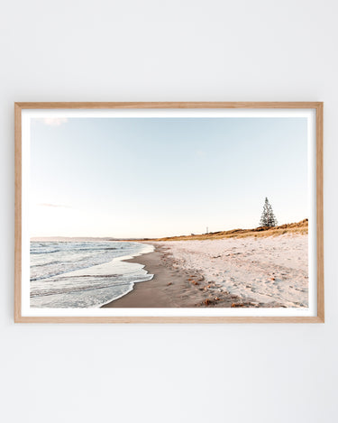 Framed in Oak