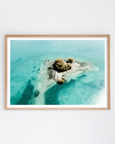 Framed in Oak