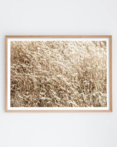 Framed in Oak