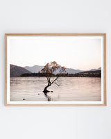 Framed in Oak