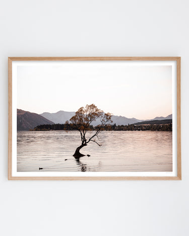 Framed in Oak