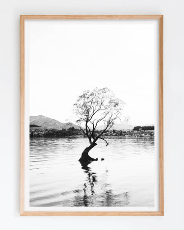 Framed in Oak