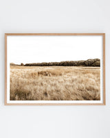 Framed in Oak