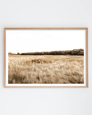 Framed in Oak