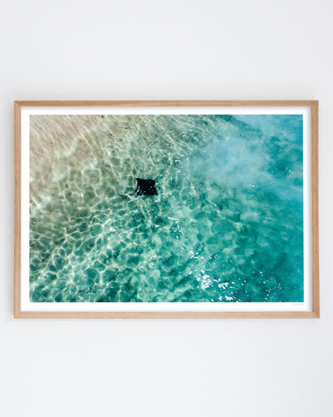 Framed in Oak