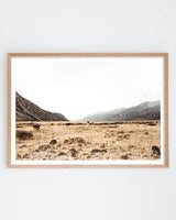 Framed in Oak