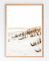 Framed in Oak