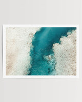 Print Only