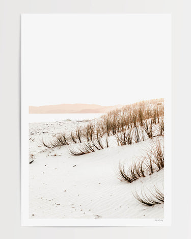 Print Only
