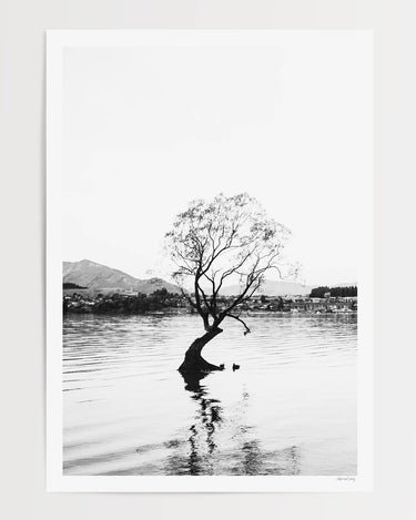 Print Only