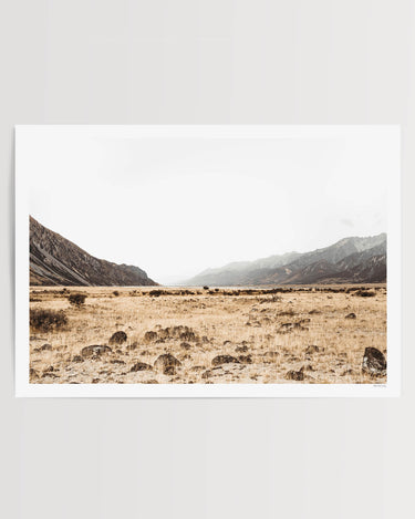 Print Only