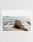Wild and Rambling | Muriwai
