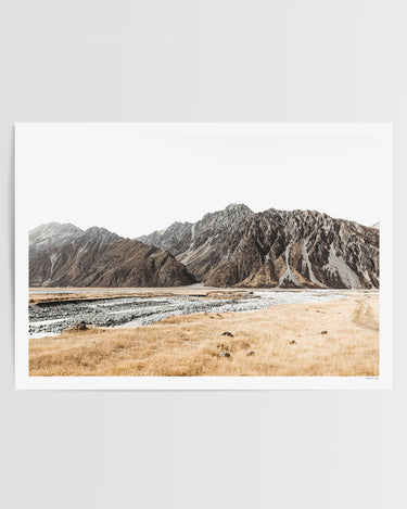 Print Only