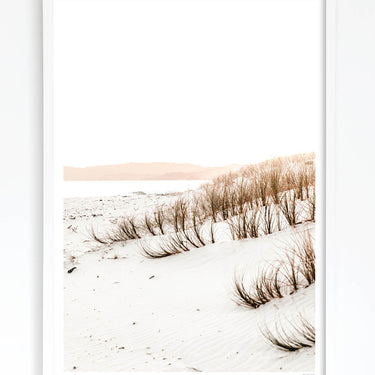 Framed in White