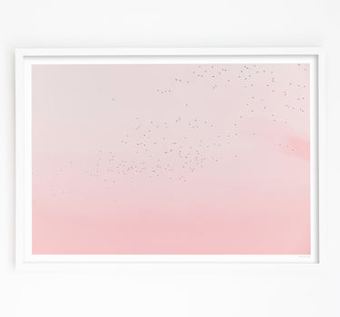 Framed in White