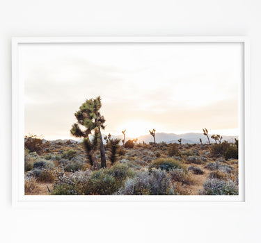Framed in White