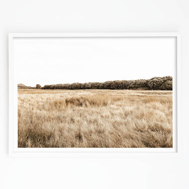 Framed in White